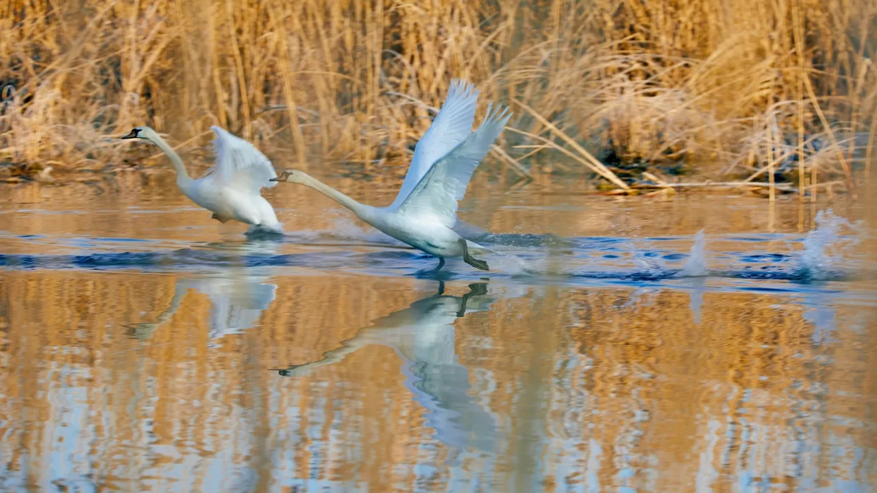 Ілюстративне фото: Ігор Піддубний/Facebook