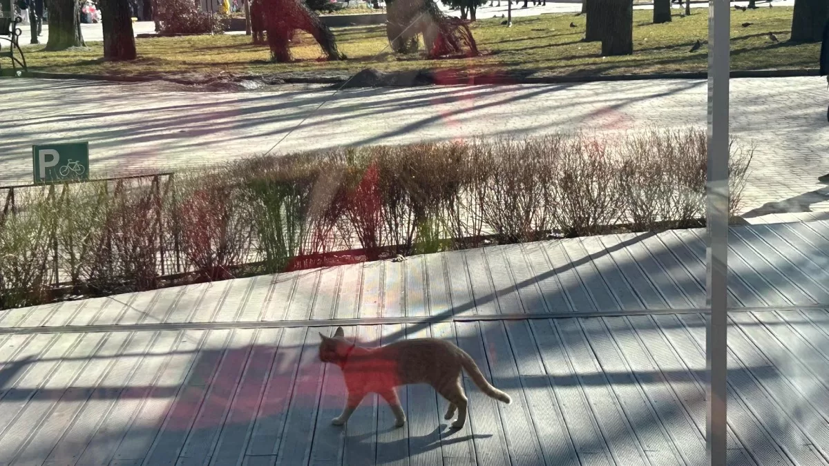 Ілюстративне фото / Фото facebook.com/tala.didenko