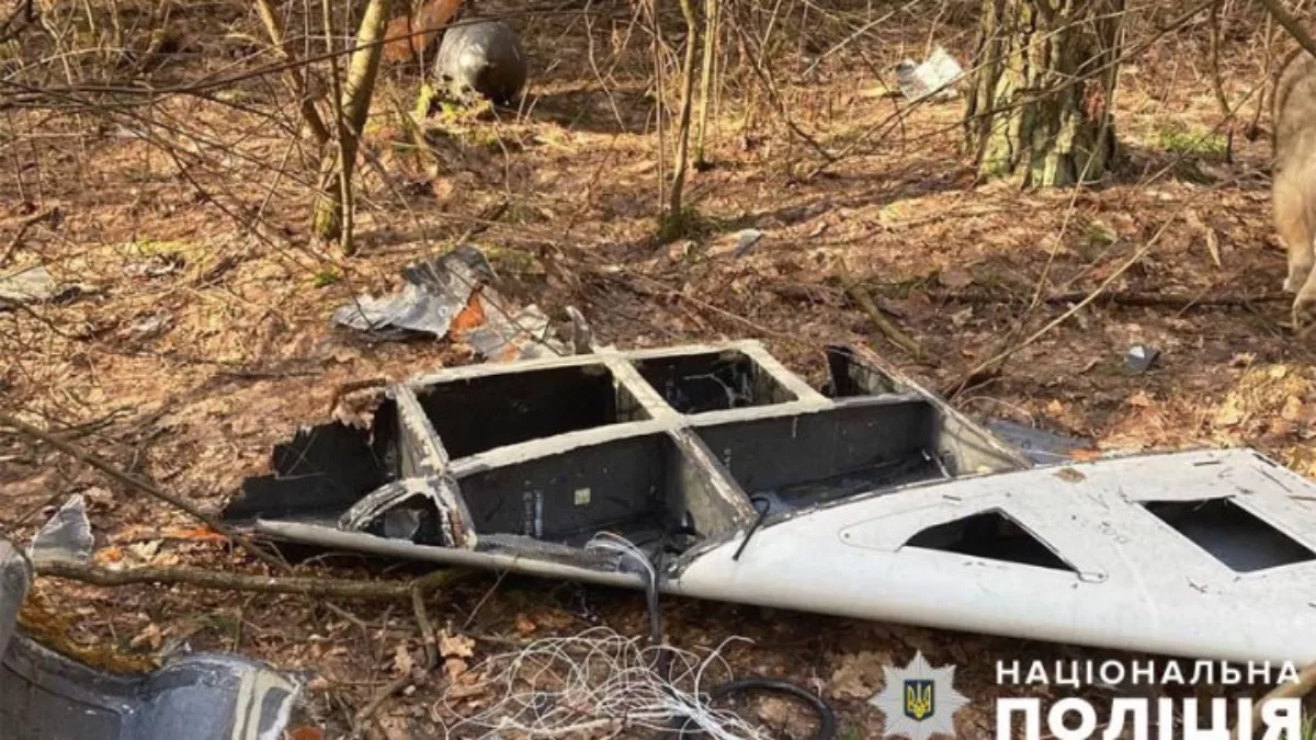 В лесополосе под Киевом местный житель нашел остатки сбитого «шахеда» и его боевую часть. Архивное фото / Фото Нацполиция