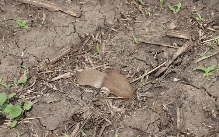 Міна типу "Пелюстка" / Ілюстративне фото: Пресслужба ГУ Нацполіції у Харківській області