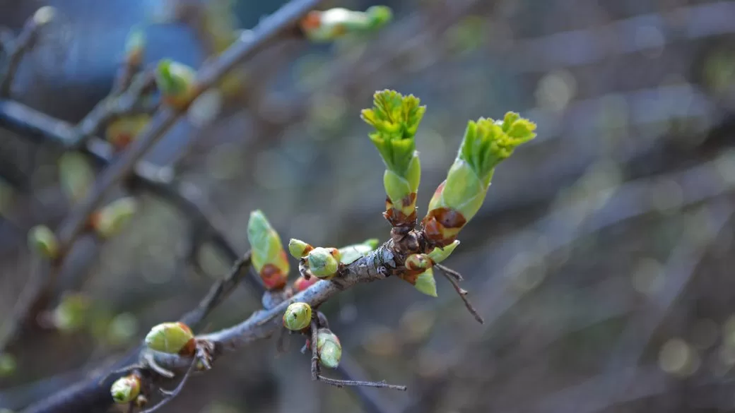 Иллюстративное фото: Суспильне Луцк