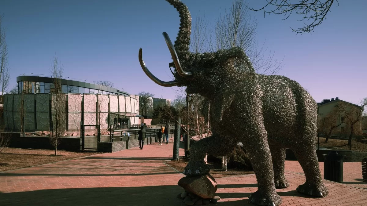 Харківський зоопарк / Фото з Facebook Peter Chernetsov