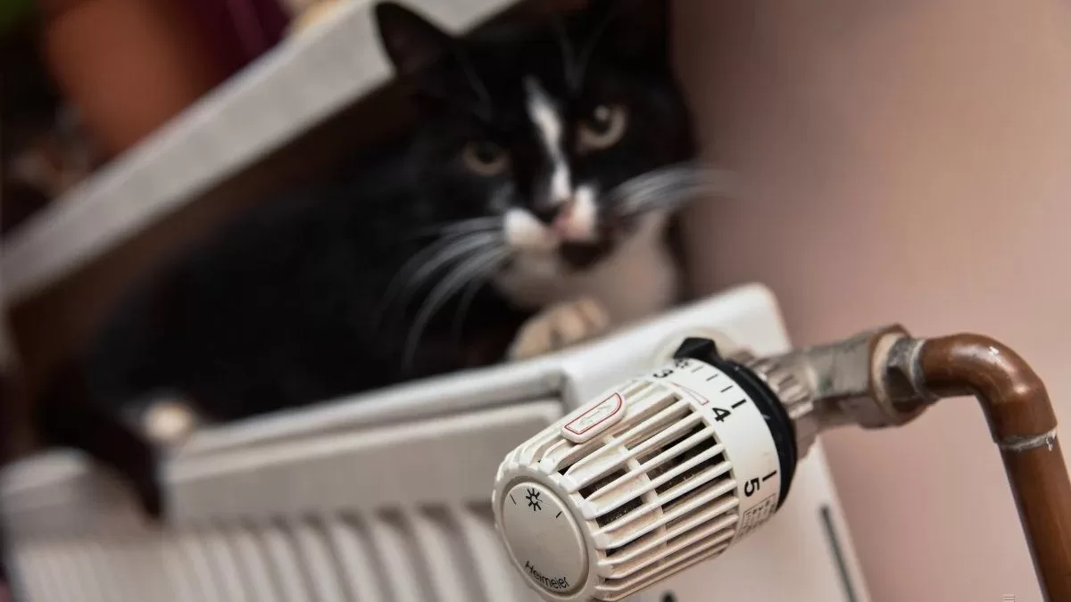 Иллюстративное фото / Фото УНИАН