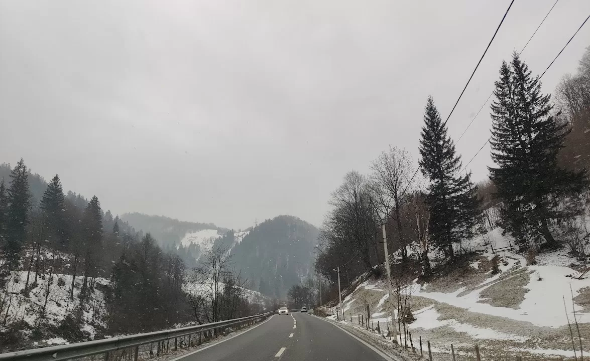 Дорога в Карпатах / Фото: Головне в Україні