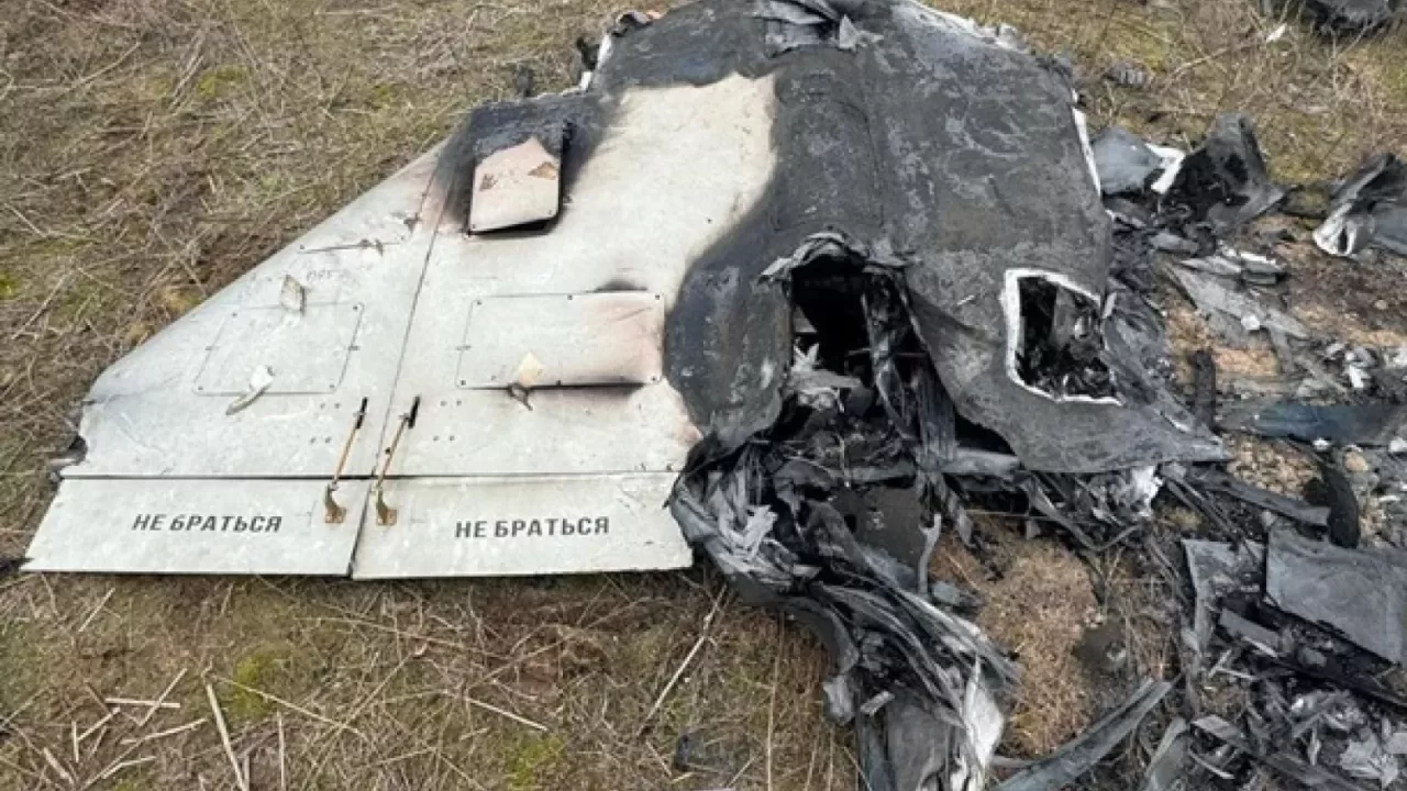 Сбитый "шахед" / Фото архивное: Нацполиция