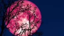 Рожевий місяць / Фото ілюстративне: depositphotos
