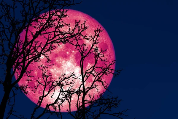 Рожевий місяць / Фото ілюстративне: depositphotos