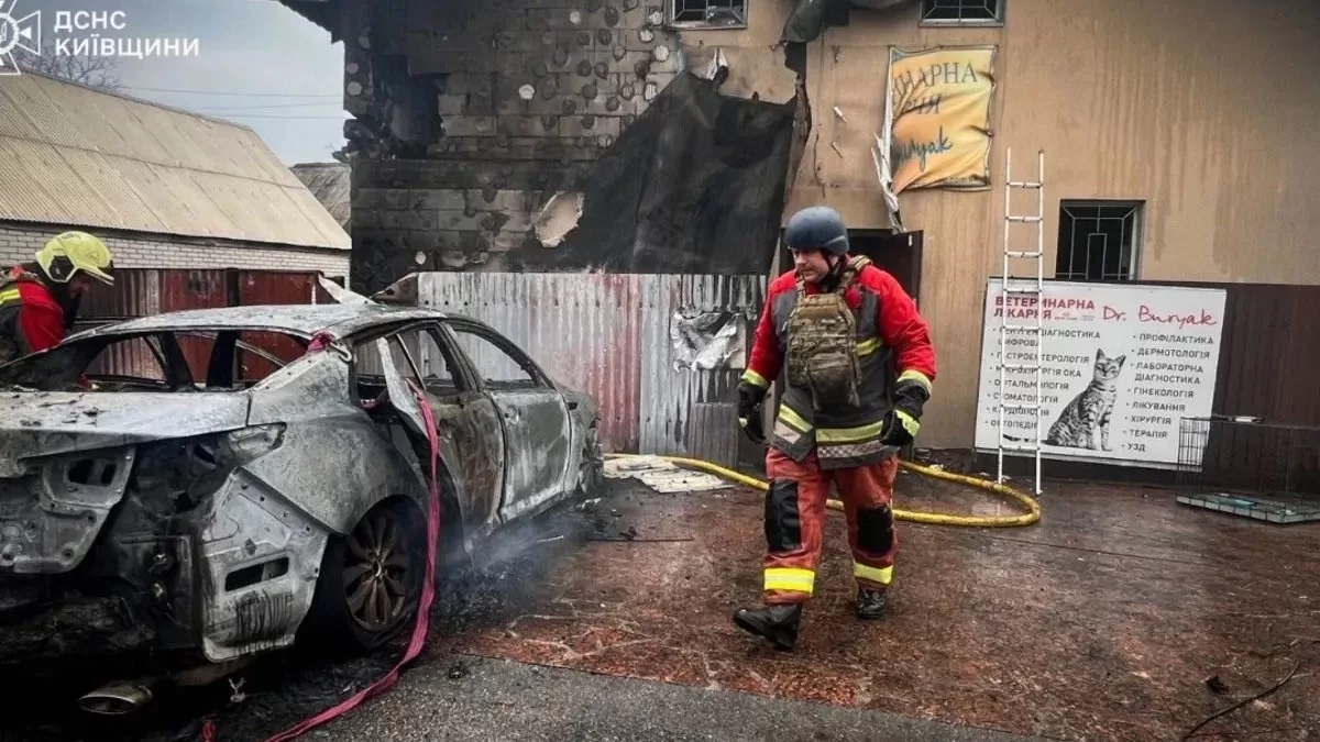 Внаслідок удару по ветклініці в Чабанах на Київщині загинуло близько 20 тварин / Фото ГСЧС