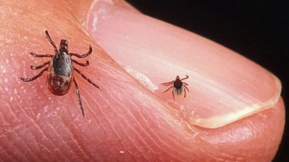 Иллюстративное фото / Фото из открытых источников