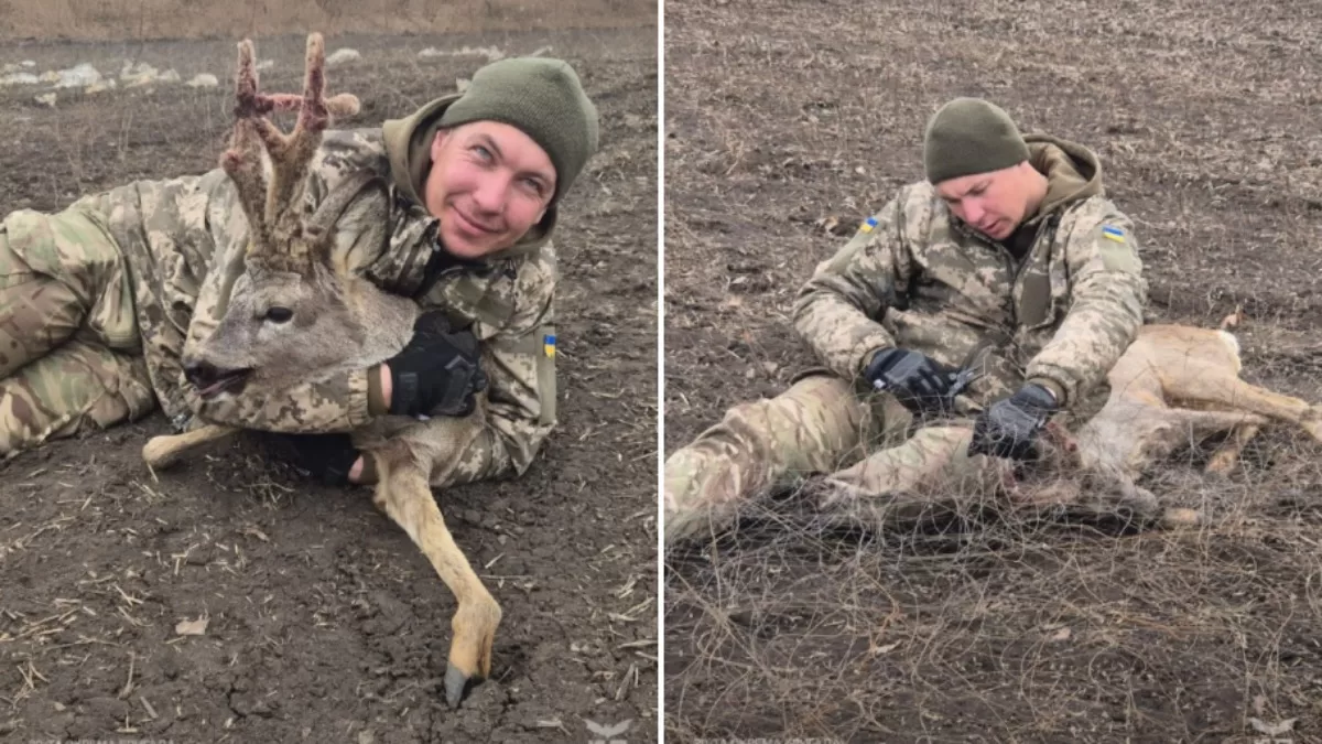 Во время боевого задания бойцы К-2 спасли диких животных / Фото t.me/k_2army