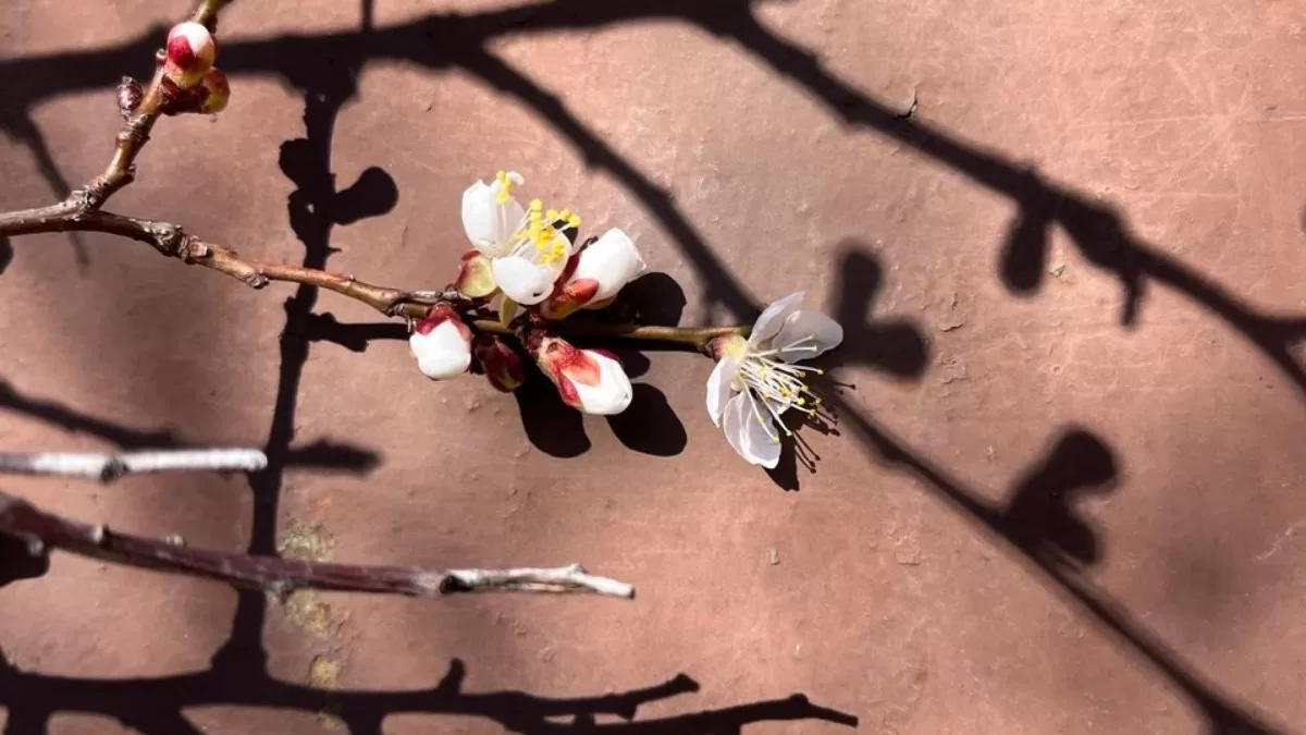 Иллюстративное фото / Фото Glavnoe.in.ua