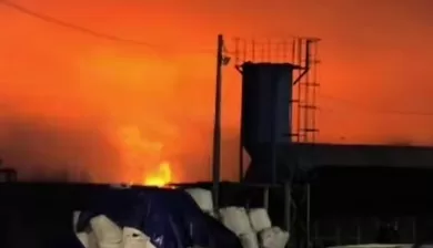 Пожар после удара по порту Усть-Луга / Скриншот