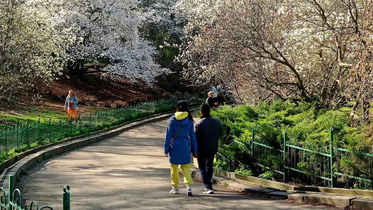 Київ напередодні Великодня / Фото facebook.com/v.aceslav.mihajlisin