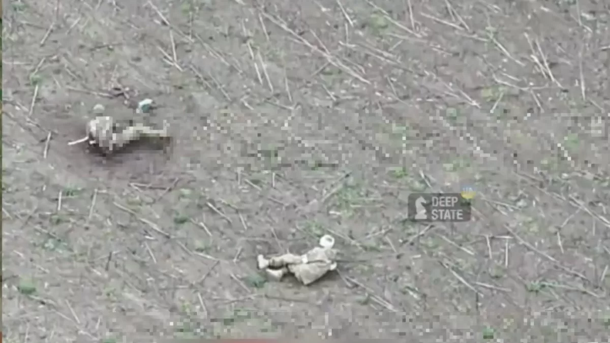 Россияне атаковали группу раненых украинских военных возле Гуляйпольского / Скриншот видео