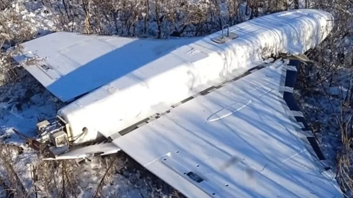 Обезвреженная «Гербера». Иллюстративное фото / Фото из соцсетей