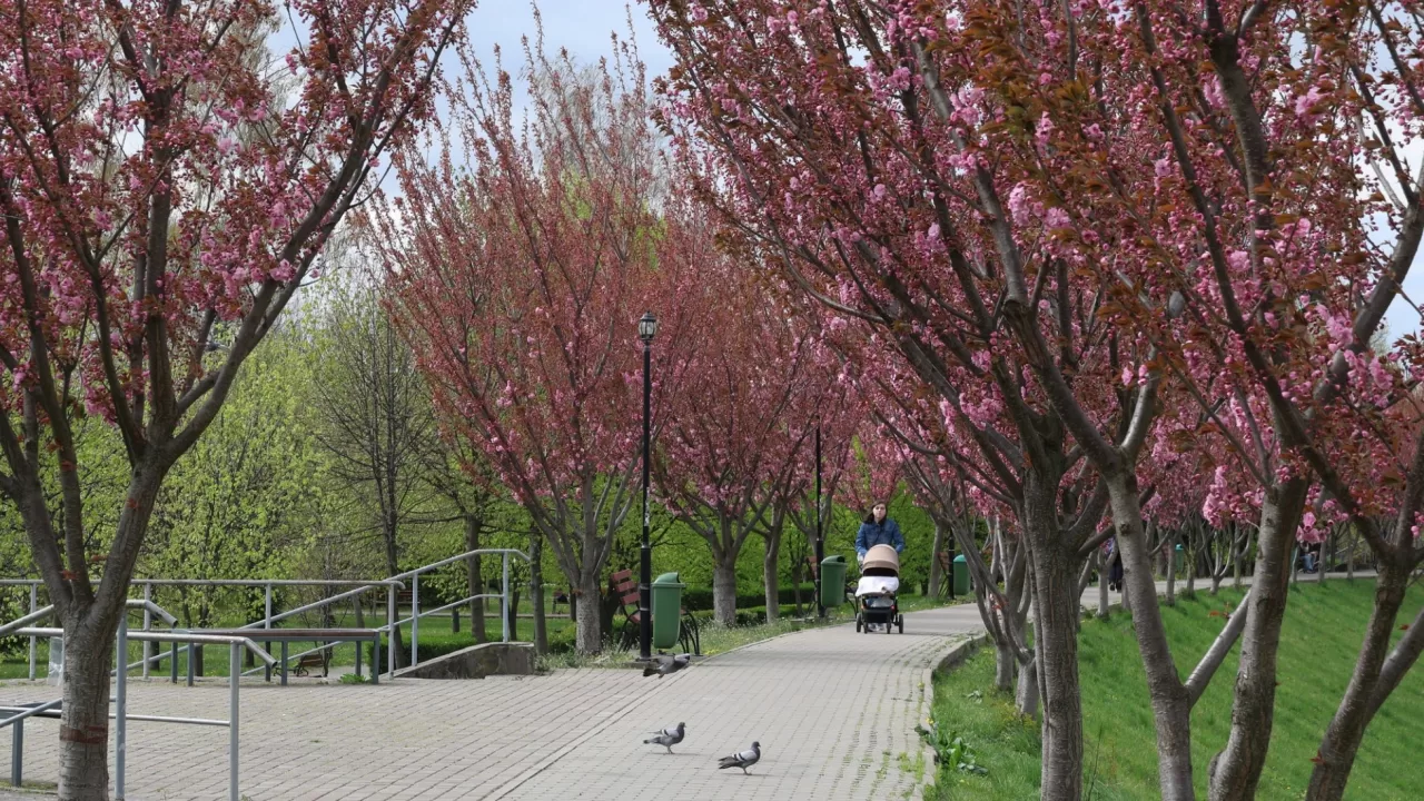 Иллюстративное фото: Сергей Козлов/Facebook