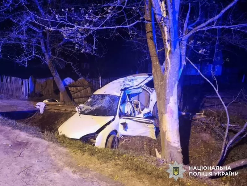 Пошкоджений внаслідок ДТП автомобіль / Фото: Поліція Житомирщини