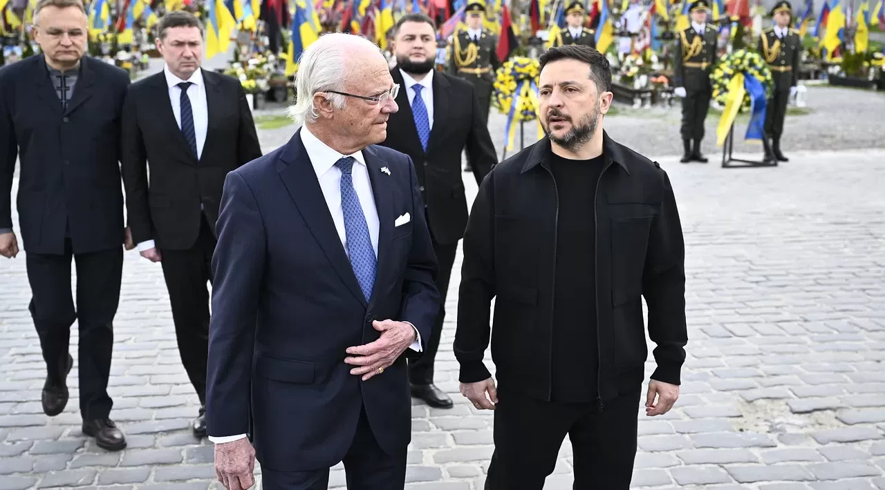 Карл XVI Густав и Владимир Зеленский / Фото: omni.se