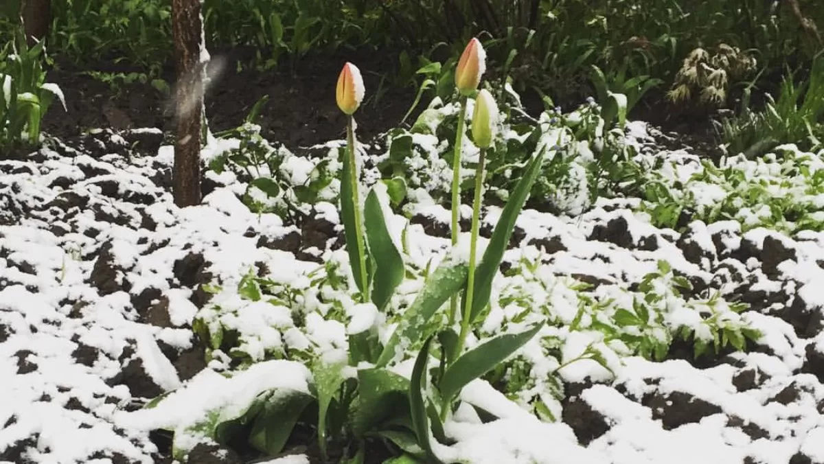 Харьков. 18 апреля 2018 года / Фото Glavnoe.in.ua