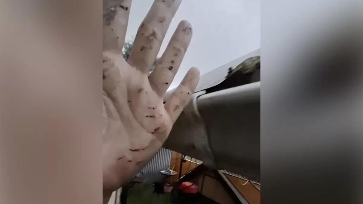 Мешканці Туапсе зафіксували так званий “нафтовий дощ” / Скріншот відео