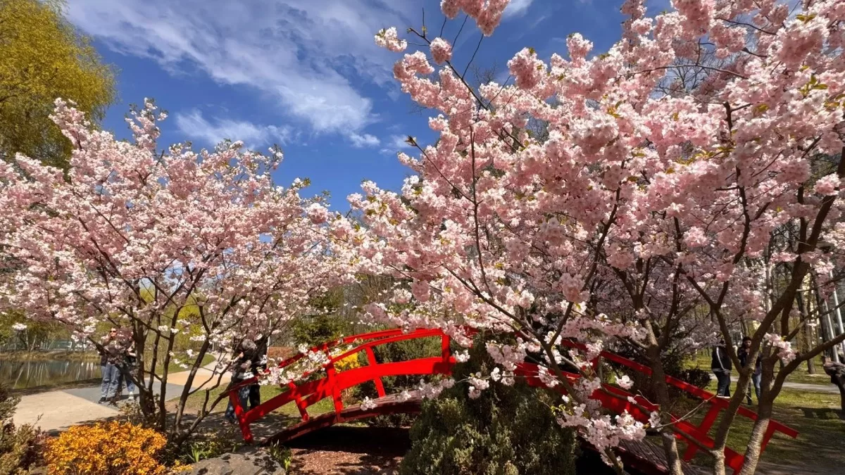 Парк Перемога, Київ / Фото з Facebook Юлія Дяк