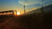 В Словакию начала поступать российская нефть по трубопроводу "Дружба" / Фото иллюстративное: depositphotos