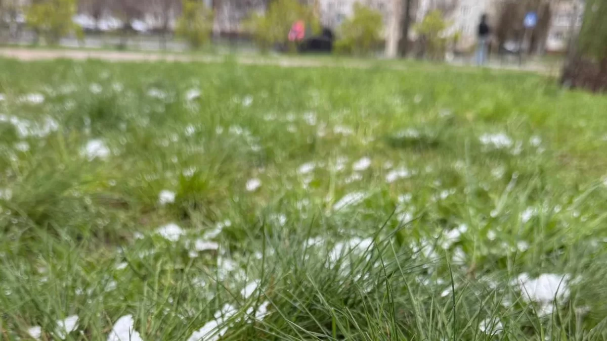 Суми. 24 квітня 2026 / Фото з Facebook Светлана Тарасенко