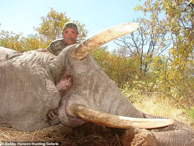 Мисливець зі США Ерні Досіо загинув під час полювання в Габоні після нападу слонів / Фото: Bobby Hansen Hunting Safaris