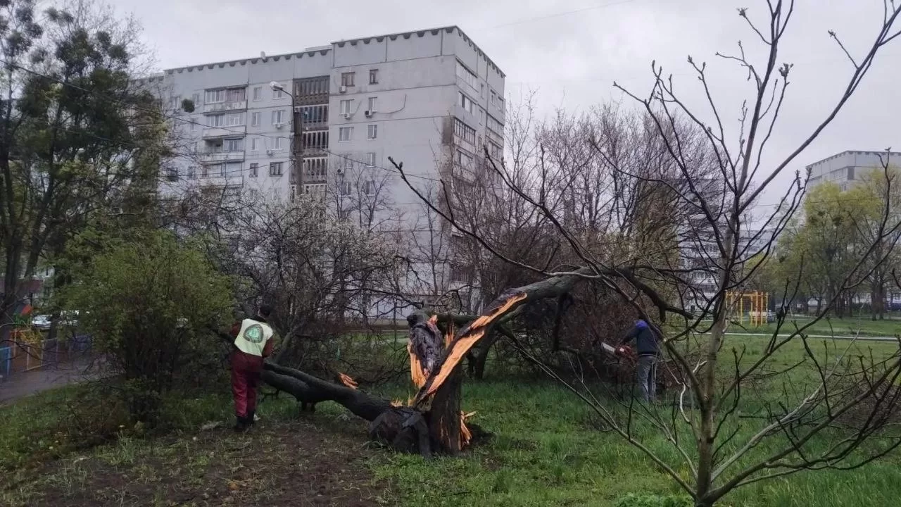 Внаслідок негоди у Харові на прибудинкових територіях зафіксовано падіння понад 30 дерев і більш як 30 гілок / Фото Харківська міська рада
