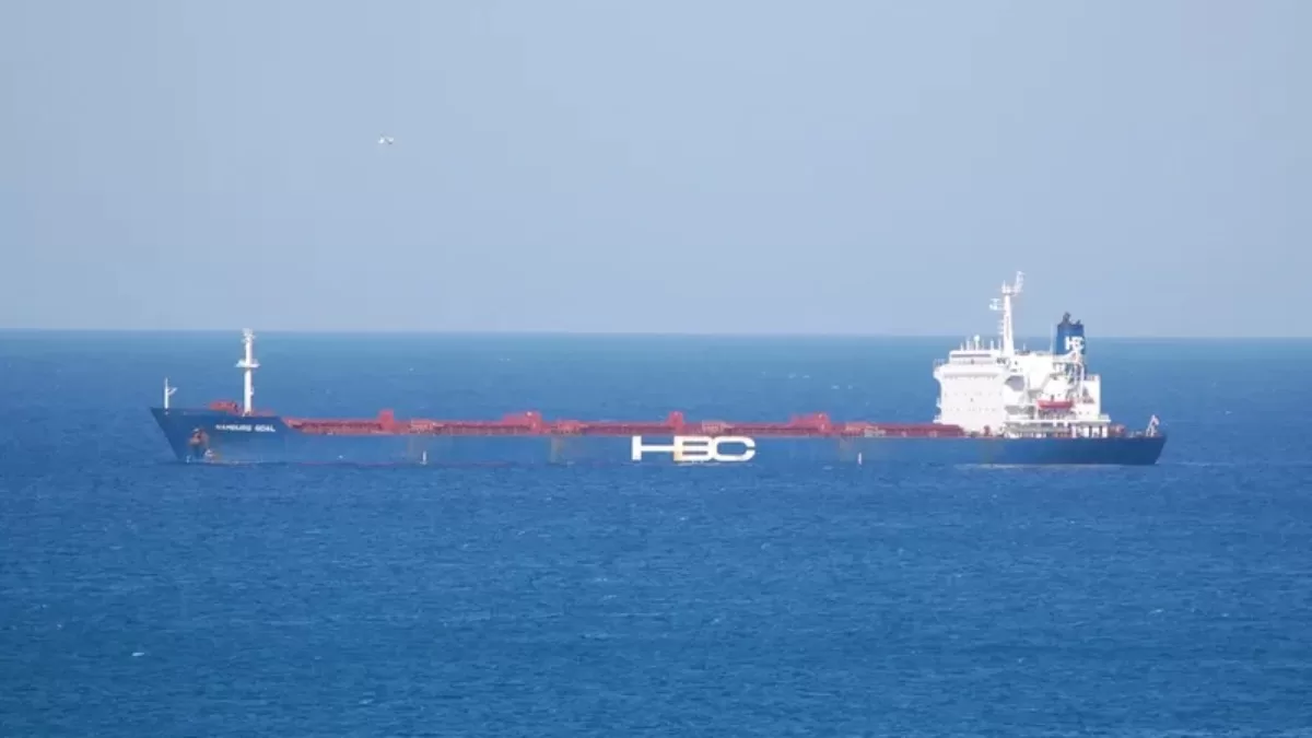 Судно ABINSK (IMO 8105741) / Фото marinetraffic.com