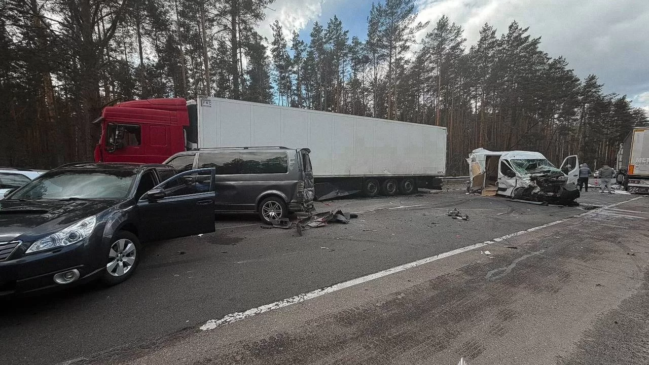Столкновение шести автомобилей вблизи Бородянки / Фото: Полиция Киевщины