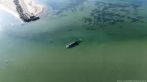 Несоленая вода Балтийского моря наносит вред коже и организму китов / Фото: René Schröder/NEWS5/dpa/picture alliance