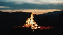 Иллюстративное фото: Dominic Sansotta/Unsplash