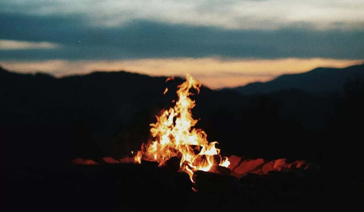 Иллюстративное фото: Dominic Sansotta/Unsplash