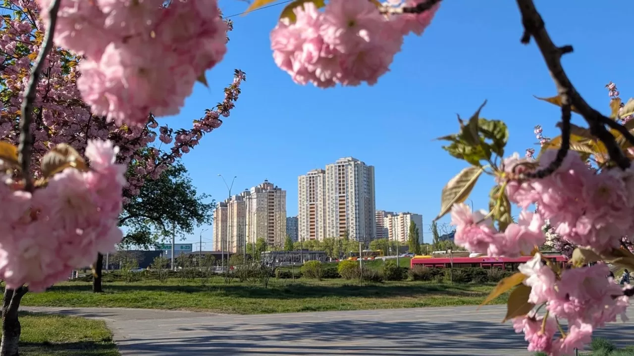Парк «Киото». Киев / Фото из Facebook Алёна Радченко