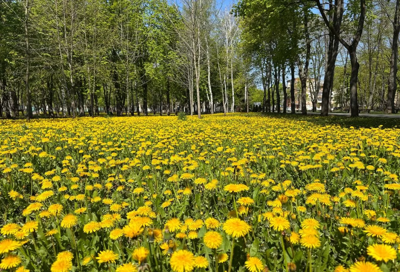 Пожар на НПЗ в Волгограде после атаки БПЛА / Фото из соцсетей