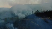 The prosecutor's office has launched an investigation into the causes of a large-scale fire in Transcarpathia / Photo: Transcarpathian Regional Prosecutor's Office