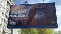 Орангутан Бату на банері до Дня перемоги у Новосибірську / Фото: соціальні мережі
