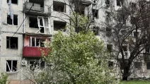 Май в Доброполье / Фото x.com/jana_skhidna