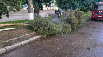 Наслідки негоди на Черкащині / Фото: ДСНС