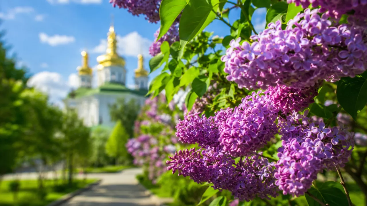 Иллюстративное фото: Главное в Украине