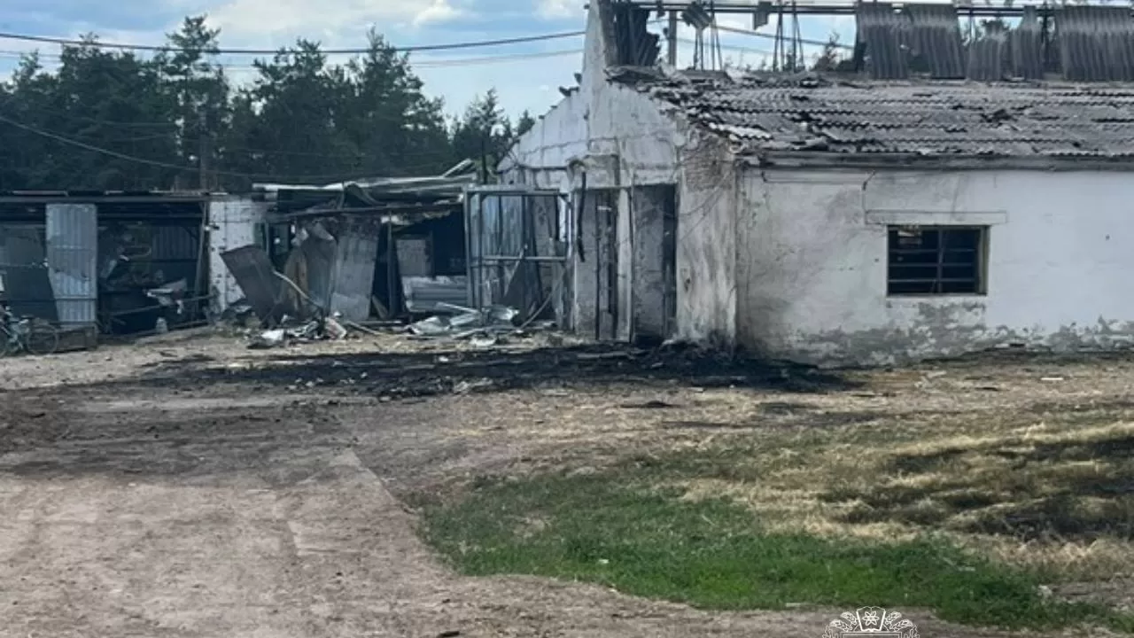 Наслідки влучання у ферму в Рокитному Нововодолазької громади / Фото: Харківська ОВА