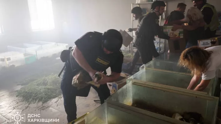 Ілюстрація згенерована ШІ