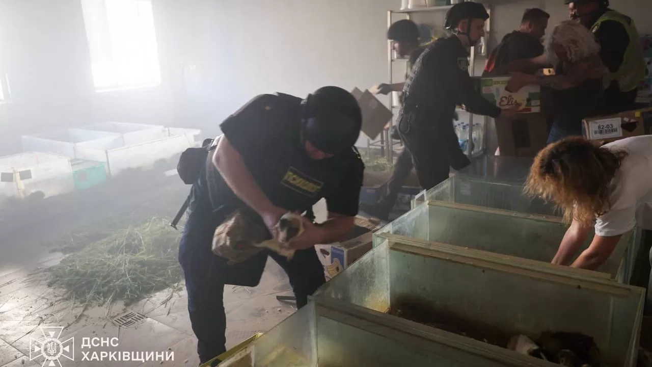 Ілюстрація згенерована ШІ