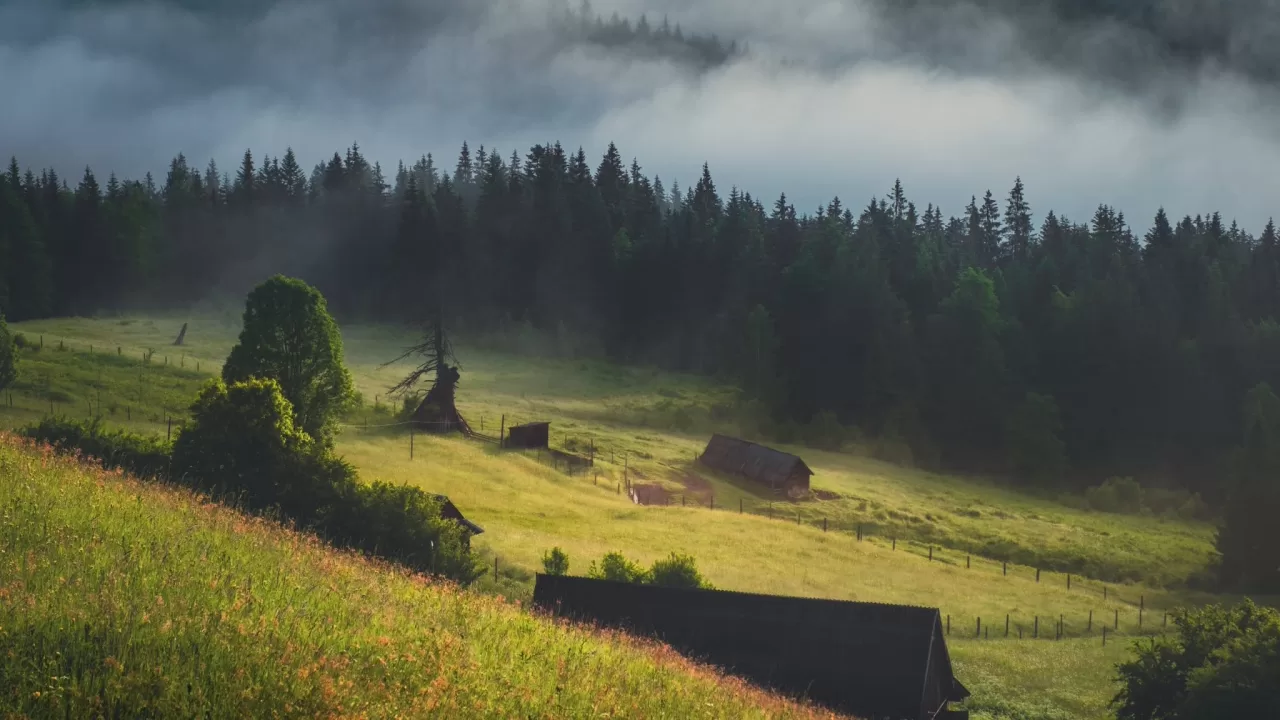 Карпаты. Дома на полонине / Фото: Facebook Александр Люлюк