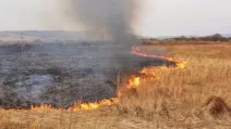 Иллюстративное фото: ГСЧС