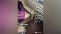 Следователи полиции открыли уголовное производство по статье о пытках / Фото: Нацполиция