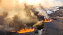 Пожежа в Чорнобильській зоні / Фото з відкритих джерел