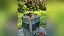 У поліції вважають, що злочин, найімовірніше, скоїли кілька людей / Фото: DW