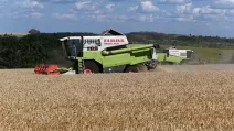 Комбайни збирають пшеницю на полі в Чертковському районі Ростовської області, Росія, 25 липня 2025 року / Фото: Reuters